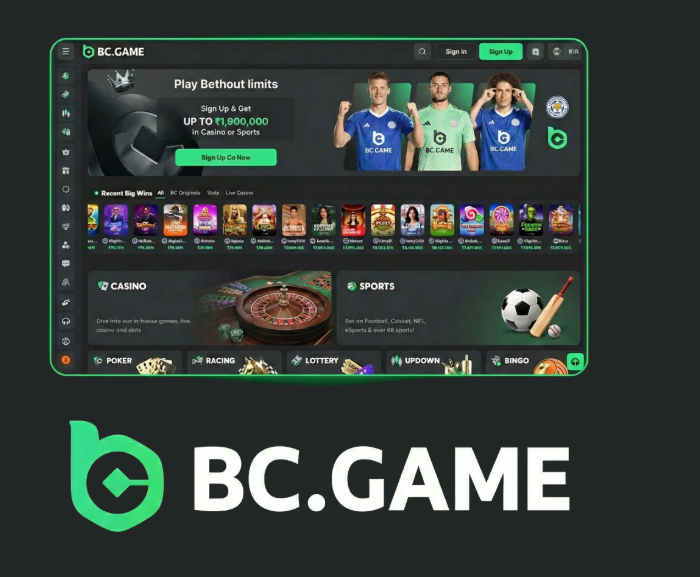 JB Casino Philippines Guide Your Ultimate Gambling Resource